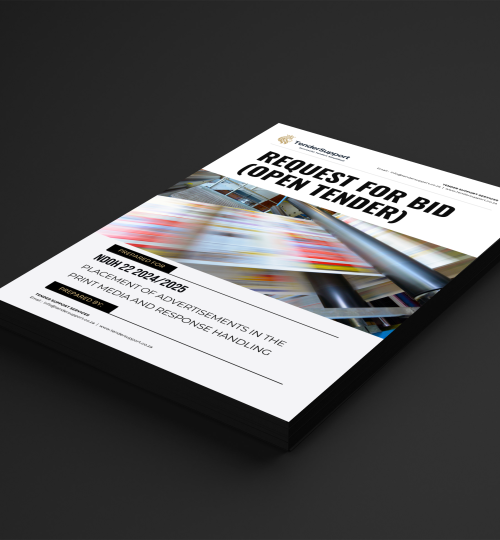 Government tenders South Africa